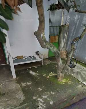 Tanah Tembalang Bulusan Undip lokasi di Tembalang, tersedia melalui melalui situs Olx