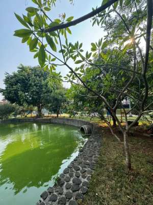 View Danau Kavling Lotus Palace Pik2 Hadap Selatan Barat lokasi di Pantai Indah Kapuk, tersedia melalui melalui situs Olx
