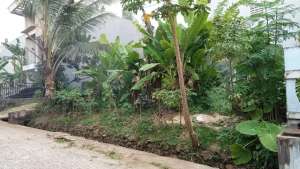 Di Jual Cepat Tanah Kavling Di Ciater Permai BSD lokasi di Serpong, tersedia melalui melalui situs Olx