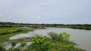 DIJUAL CEPAT LAHAN KAWASAN DESA KEMIRI TANGERANG lokasi di Mauk, tersedia melalui melalui situs Olx