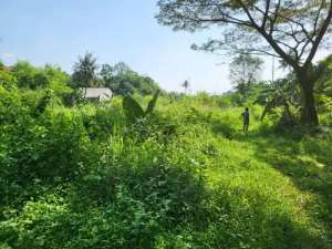Dijual cepat tanah dekat tol desari dekat kota Depok lokasi di Sawangan, tersedia melalui melalui situs Olx