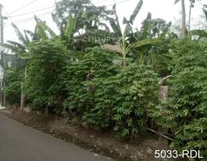 Dijual Kavling Murah Strategis Di Rempoa Tangerang Selatan lokasi di Ciputat, tersedia melalui melalui situs Olx