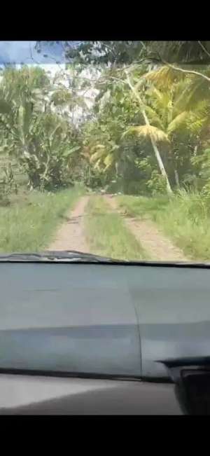 Dijual murah tanah sertifikat SHM lokasi strategis di jembrana bali lokasi di Pekutatan, tersedia melalui melalui situs Olx