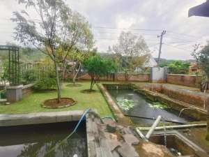 Dijual Rumah Mewah plus kolam Renang Baturaden Banyumas lokasi di Baturaden, tersedia melalui melalui situs Olx