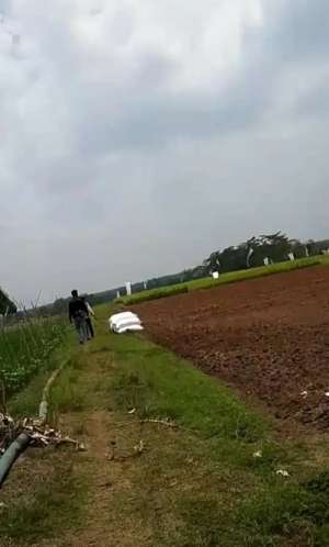 Dijual tanah Darat luas 2,8 Hektare di subang Cibogo lokasi di Cibogo, tersedia melalui melalui situs Olx