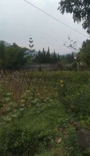 DIJUAL TANAH DARATAN KAWASAN CIBODAS PUNCAK LOKASI MENARIK lokasi di Pacet, tersedia melalui melalui situs Olx