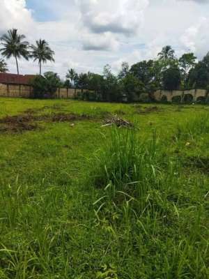 Dijual Tanah di Cidahu, Cicurug, Sukabumi Jawa Barat lokasi di Cidahu, tersedia melalui melalui situs Olx