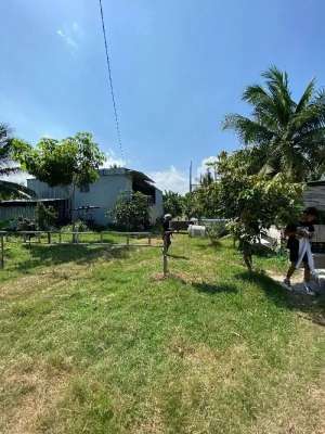 Dijual Tanah di Yehembang Jembrana Bali lokasi di Negara, tersedia melalui melalui situs Olx