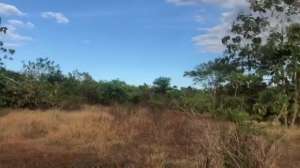 Dijual Tanah Jl. Tilong Dam, Kupang Tengah, NTT -T-0110 lokasi di Kota Raja, tersedia melalui melalui situs Olx