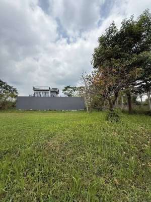 Dijual Tanah Kavling di Cluster Asteria Hill, The Araya Malang lokasi di Blimbing, tersedia melalui melalui situs Olx