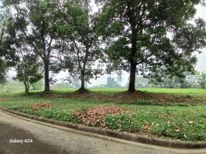 DIJUAL TANAH KAVLING SEJUK DI NORTHRIDGE GOLF SENTUL SSR760 A1 lokasi di Babakan Madang, tersedia melalui melalui situs Olx