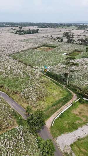 Dijual Tanah Kavling Super Luas di Daerah Mondoroko, Singosari Malang lokasi di Singosari, tersedia melalui melalui situs Olx