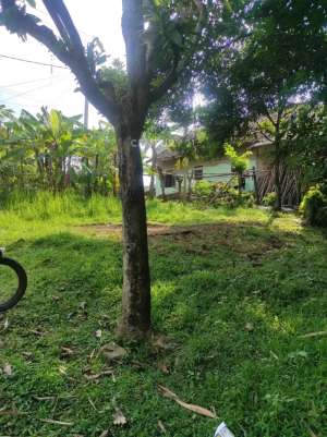 Dijual Tanah Lahan Kosong Di Cikande Rangkasbitung Serang Banten lokasi di Rangkasbitung, tersedia melalui melalui situs Olx