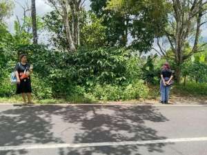 Dijual Tanah Murah Lokasi Bagus Di Pedawa - Buleleng lokasi di Buleleng, tersedia melalui melalui situs Olx