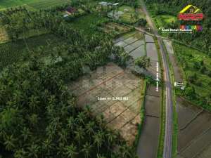 Dijual Tanah Sawah Produktif di Barat Banyuwangi Park - Dadapan lokasi di Kabat, tersedia melalui melalui situs Olx