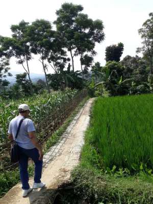 DIJUAL TANAH SHM HARGA MURAH DI JL. PAKALADEN CIJERUK BOGOR lokasi di Cijeruk, tersedia melalui melalui situs Olx