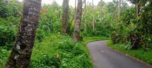 Dijual Tanah View Gunung Sawah Dan Laut Cocok Untuk Vila Di Tabanan lokasi di Salemadeg Timur, tersedia melalui melalui situs Olx