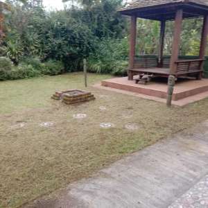 Jual Bu Tanah Kintamani Luas 2500 M Nego Sampai Deal lokasi di Denpasar Utara, tersedia melalui melalui situs Olx