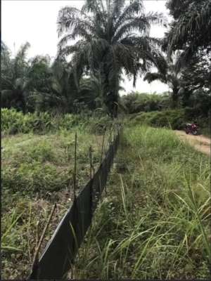 JUAL CEPAT BUTUH DANA TANAH MURAH RUMBAI - TURUN HARGA lokasi di Rumbai, tersedia melalui melalui situs Olx