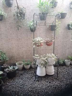 Jual Cepat Rumah Asri Strategis dekat Gerbang Cluster Serua Ciputat lokasi di Ciputat, tersedia melalui melalui situs Olx