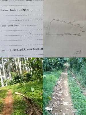 KEBUN KOPI 16.770M SIAP PANEN STRATEGIS DEKAT PASAR PINGIT TEMANGGUNG lokasi di Pringsurat, tersedia melalui melalui situs Olx