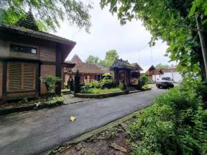 RUMAH JOGLO DIJUAL RUGI HARGA LELANG DI MINGGIR lokasi di Minggir, tersedia melalui melalui situs Olx