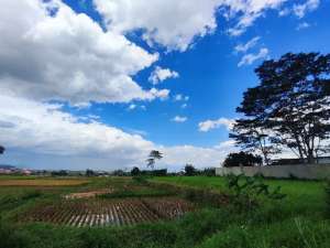 Tanah 3 Hektar dekat gerbang tol Soreang Bandung lokasi di Soreang, tersedia melalui melalui situs Olx