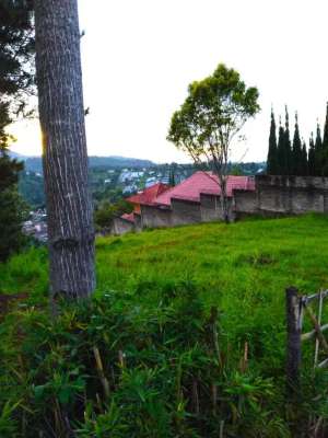 Tanah dago giri disebelah cottage cocok untuk villa lokasi di Dago, tersedia melalui melalui situs Olx