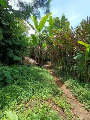 Tanah di Jl. Ligar Indah, Cibeunying lokasi di Cimeunyan, tersedia melalui melalui situs Olx