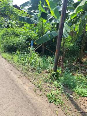 TANAH DIJUAL CEPAT MURAH 480 rbSHMPINGGIR JALAN BESAR 2380 METER lokasi di Bogor Timur - Kota, tersedia melalui melalui situs Olx