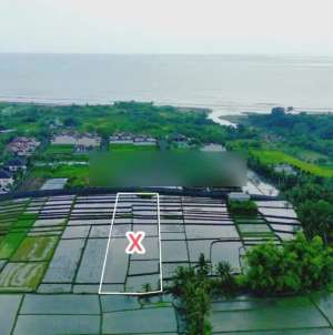 Tanah Full View Sawah 200m ke Pantai, Tabanan lokasi di Kediri, tersedia melalui melalui situs Olx
