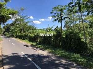 TanahLahan Menarik di Dekat Sungai Subamia, Tabanan, Bali lokasi di Tabanan, tersedia melalui melalui situs Olx