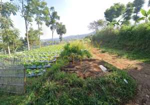 Tanah Luas dan lebar, Dekat Dago Giri View Bandung lokasi di Lembang, tersedia melalui melalui situs Olx