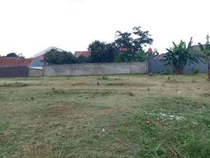 Tanah murah Jogja CaturharjoJalan Kavling 5 Meter, Legalitas Aman lokasi di Sleman, tersedia melalui melalui situs Olx