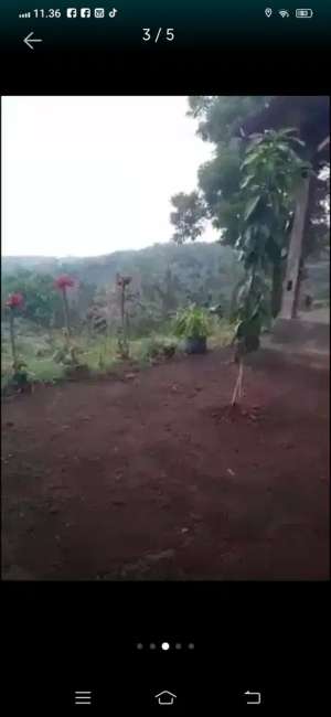 Tanah Premium Murah depan Bandara Bali Utara lokasi di Kubutambahan, tersedia melalui melalui situs Olx