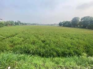 Tanah Strategis di bawah NJOP di Ciwastra Buah Batu Bandung lokasi di Buahbatu (Margacinta), tersedia melalui melalui situs Olx