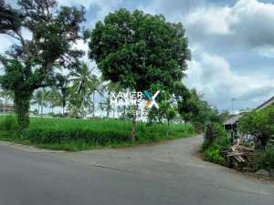 Tanah strategis luas 5,8 ha di poros jalan utama Dampit, Malang lokasi di Turen, tersedia melalui melalui situs Olx