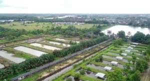 Tanah Tepi Jalan KH.Abdulrahman Wahid sampai Sungai Kapuas kubu Raya lokasi di Kubu, tersedia melalui melalui situs Olx