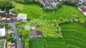 Tanah tumbak bayuh mengwi lokasi di Mengwi, tersedia melalui melalui situs Olx