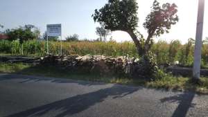 Tnh jalan sumba kota blitar lokasi di Sanan Wetan, tersedia melalui melalui situs Olx