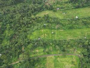 Dijual Cepat Murah Tanah Kavling Di Soka Tabanan Straategis lokasi di bedugul, tersedia melalui melalui situs Lamudi