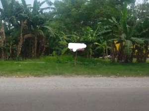 Dijual Cepat Tanah Murah di Koto Tengah Padang lokasi di ",
          price: `2494800000`,
          currency: `IDR`
    };


    let pageData = {
        viewPhoneModalField: , tersedia melalui melalui situs Lamudi