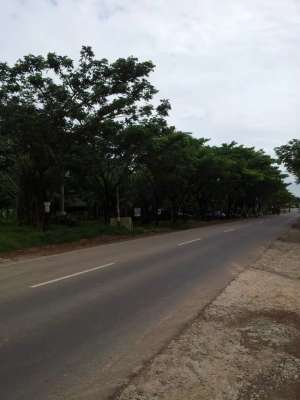 Dijual Lahan Siap Bangun Simpang Bandara SMB 2 Palembang lokasi di Sukarami, tersedia melalui melalui situs Olx