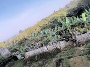 Dijual LeaseholdFreehold cepat tanah murah di Kintamani Bangli Bali lokasi di batur-tengah, tersedia melalui melalui situs Lamudi