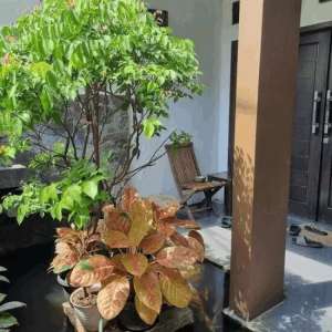 Dijual Rumah Bagus Asri Di Bintaro Dekat Stasiun Sudimara lokasi di Pesanggrahan, tersedia melalui melalui situs Olx