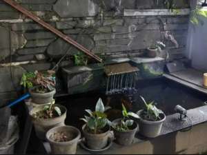 Dijual Rumah Bagus di Angkasa Mekar Cibaduyut, Bandung lokasi di Bojongloa Kidul, tersedia melalui melalui situs Olx