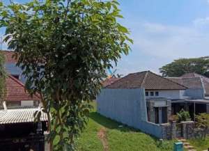 Dijual Rumah Desain Klasik di Araya Golf, Blimbing Malang lokasi di bunulrejo, tersedia melalui melalui situs Lamudi