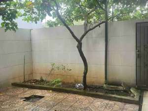 Dijual Rumah di Sutera Olivia Alam Sutera Tangerang Selatan lokasi di Serpong Utara, tersedia melalui melalui situs Olx