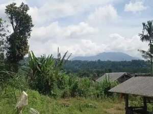 Dijual Tanah 1,6 Ha Pinggir Jalan Utama Baturiti Tabanan Bali lokasi di Baturiti, tersedia melalui melalui situs Olx