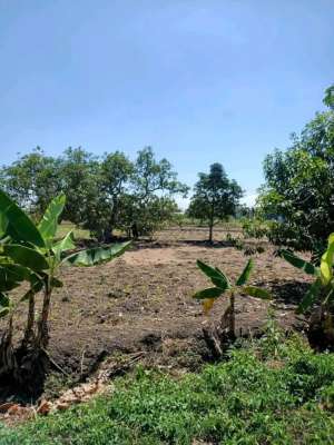 DIJUAL TANAH ALAS MALANG SAMBIKEREP SURABAYA RON.A2727 lokasi di Sambikerep, tersedia melalui melalui situs Olx